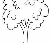 Coloriage Arbres facile &agrave; d&eacute;corer