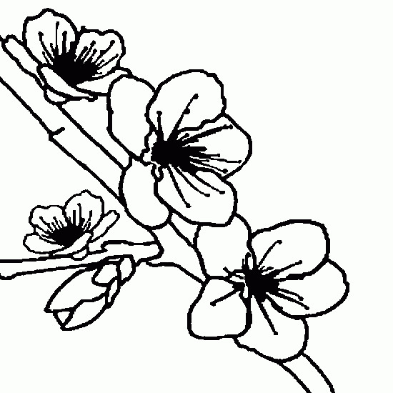 Coloriage Les Fleurs d'Arbre dessin gratuit à imprimer