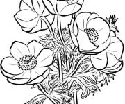 Coloriage Beau bouquet de fleurs