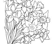 Coloriage Bouquet de fleurs champêtres