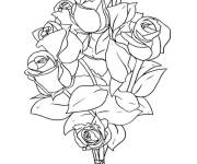 Coloriage Des belles roses