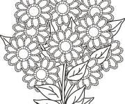 Coloriage Les fleurs marguerites tr&egrave;s belles
