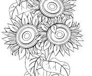 Coloriage Tournesol  Bouquet de fleurs