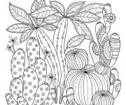 Coloriage Cactus  artistique