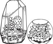 Coloriage Cactus avec succulentes