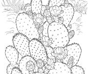 Coloriage Cactus Barbarie dans le desert