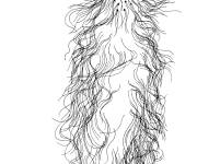 Coloriage Cactus cephalocereus