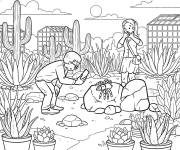 Coloriage Cactus dans un jardin d&eacute;sertique