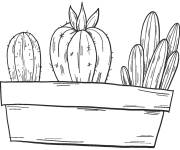 Coloriage Cactus dans un pot