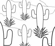 Coloriage Cactus du d&eacute;sert aux lignes simples