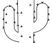 Coloriage et dessins gratuit Cactus en forme g&eacute;om&eacute;trique à imprimer