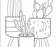 Coloriage Cactus en pot pour d&eacute;corer la maison