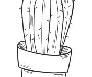 Coloriage et dessins gratuit Cactus en pot pour maternelle à imprimer