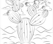 Coloriage Cactus en vecteur