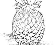 Coloriage Cactus encephalocarpus strobiliformis