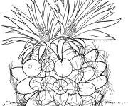 Coloriage Cactus escobaria missouriensis