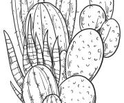 Coloriage Cactus imprimable