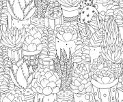 Coloriage Cactus pour adulte