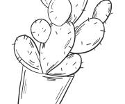 Coloriage Cactus pour ce1