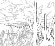 Coloriage Cactus Saguaro dans le parc