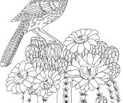 Coloriage Cactus saguaro de l'Arizona avec un oiseau