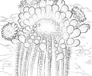 Coloriage Cactus Saguaro r&eacute;aliste
