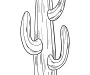 Coloriage Cactus sans motif