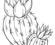 Coloriage Cactus sort une fleur