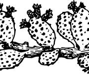 Coloriage Cactus style vintage