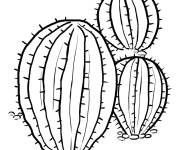 Coloriage Cactus tonneau