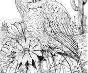 Coloriage Chouette sur un cactus