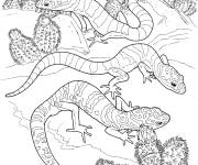 Coloriage Des l&eacute;zards parmi les cactus