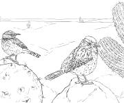 Coloriage Deux troglodytes devant un cactus