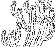 Coloriage Famille de cactus facile