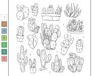 Coloriage Famille de Cactus par num&eacute;ros
