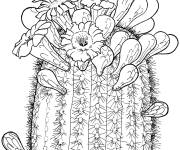 Coloriage Fleur de cactus saguaro