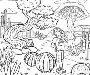 Coloriage Garcon &eacute;tudie les cactus