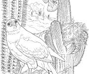 Coloriage Paysage de saguaros avec des oiseaux