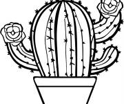 Coloriage Petit cactus dans un pot