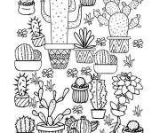 Coloriage Plusieurs Cactus en pot