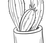 Coloriage Pot dans un cactus