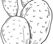 Coloriage Simple cactus