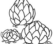 Coloriage Type des cactus