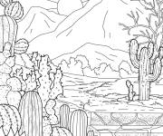 Coloriage Vue de cactus dans le desert