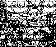 Coloriage Lapin &agrave; la Campagne