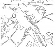 Coloriage Paysage de oiseau dans la Campagne