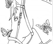 Coloriage Un beau cheval de Campagne