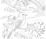 Coloriage Un beau paysage de Campagne maternelle