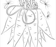 Coloriage Botte de carottes