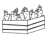 Coloriage Carotte dans un panier